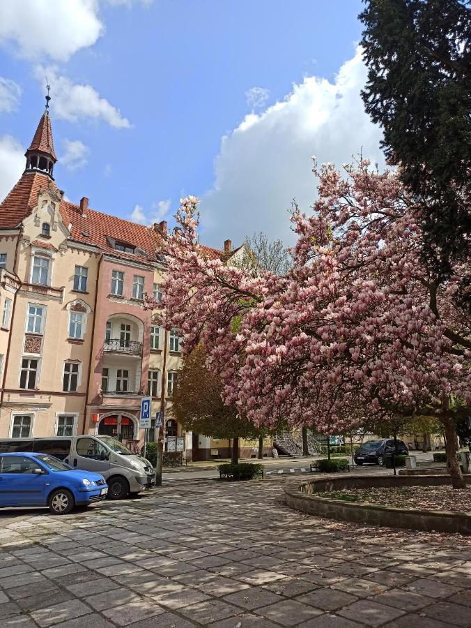 Apartament Rozeta Centrum 6Os Legnica Buitenkant foto